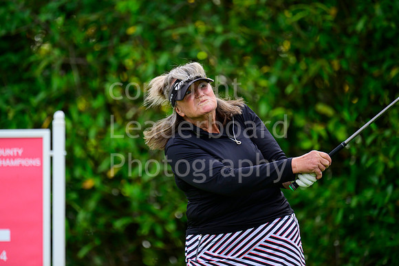 NZ9_2598