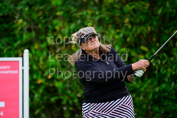 NZ9_2599