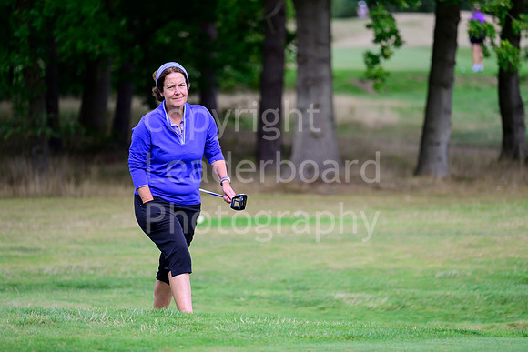NZ9_3411