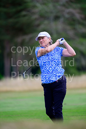 NZ9_3498