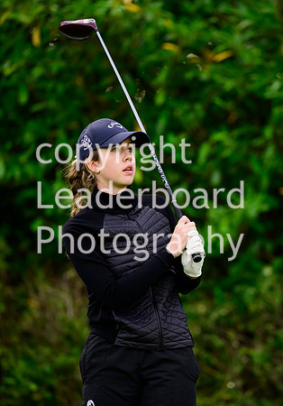 NZ9_4595