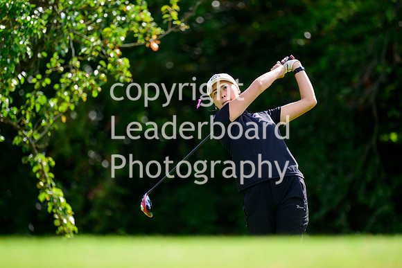 NZ9_6185