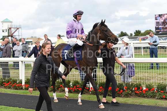 Gt_Yarm_15_Sept_2022-128