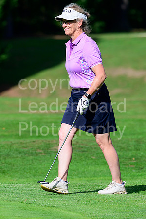 NZ9_7961