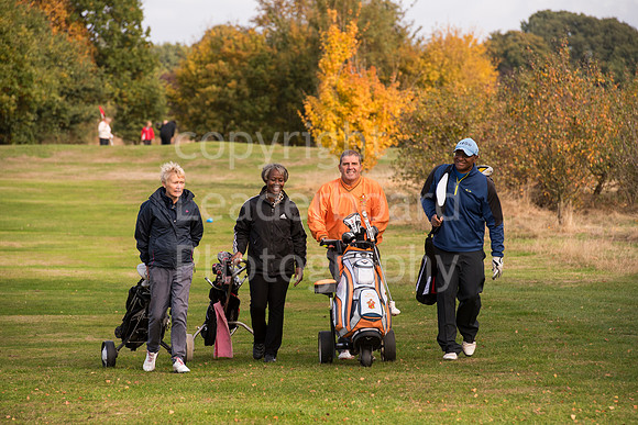 NB_019_Bromley_9_Hole
