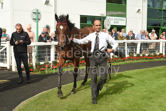 Gt_Yarm_15_Sept_2022-92