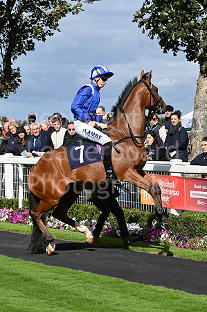 Gt_Yarm_Eastern_Fest_Day_1-4