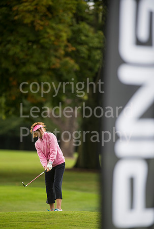 LB_006_Ping_2017_Grand_Final