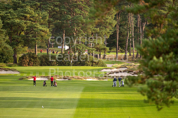 LBP_Senior_International_Ferndown-38