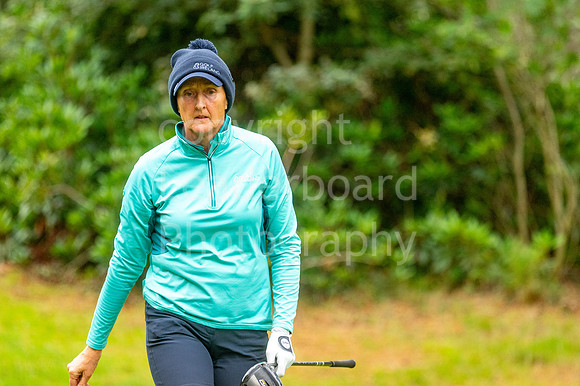 LBP_Senior_International_Ferndown-182