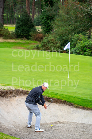 LBP_Senior_International_Ferndown-230