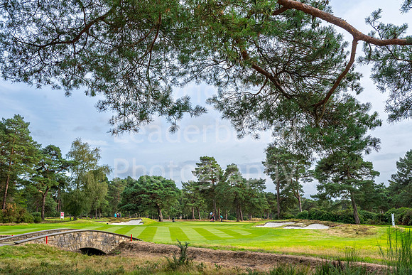 LBP_Senior_International_Ferndown-229