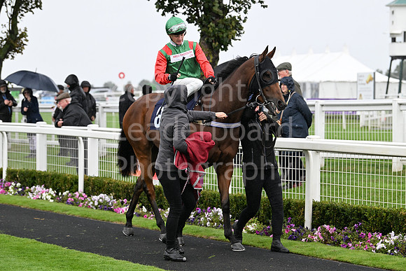 Gt_Yarm_Eastern_Fest_Day_2-3