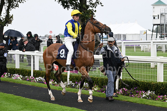 Gt_Yarm_Eastern_Fest_Day_2-5