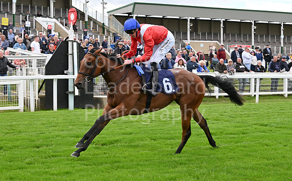 Gt_Yarm_May_22_2024-122