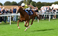 Gt_Yarm_Eastern_Fest_Day_3-16