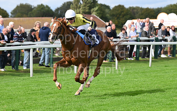 Gt_Yarm_Eastern_Fest_Day_3-16