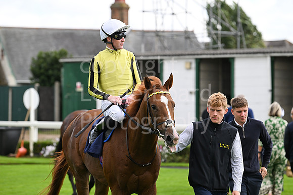 Gt_Yarm_Eastern_Fest_Day_3-26