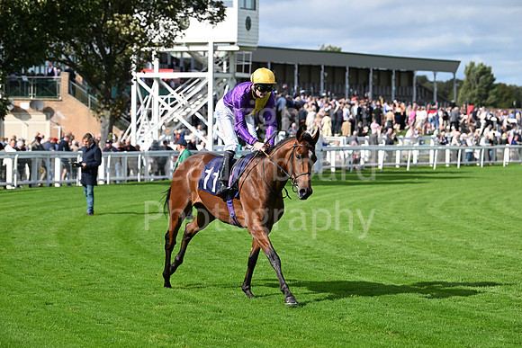 Gt_Yarm_Eastern_Fest_Day_3-45