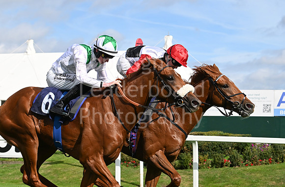 Gt_Yarm_Eastern_Fest_Day_3-57