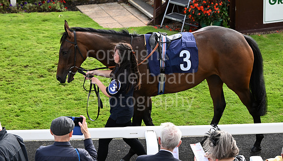 Gt_Yarm_Eastern_Fest_Day_3-66