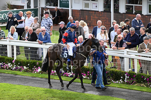 Gt_Yarm_Eastern_Fest_Day_3-70