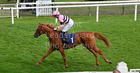 Gt_Yarm_Eastern_Fest_Day_3-75