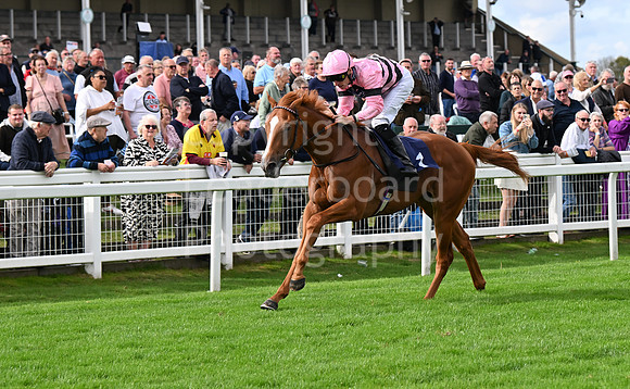 Gt_Yarm_Eastern_Fest_Day_3-86