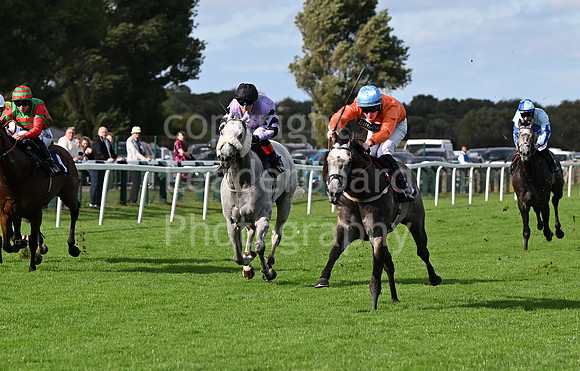 Gt_Yarm_Eastern_Fest_Day_3-112