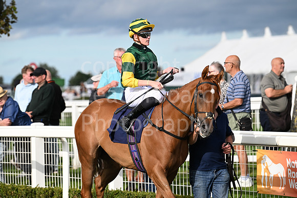 Gt_Yarm_Eastern_Fest_Day_3-130