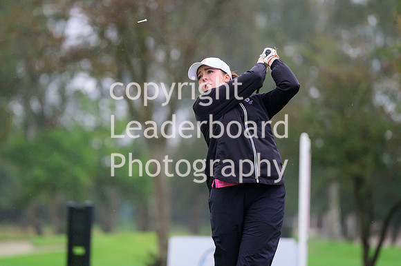 NZ9_0663