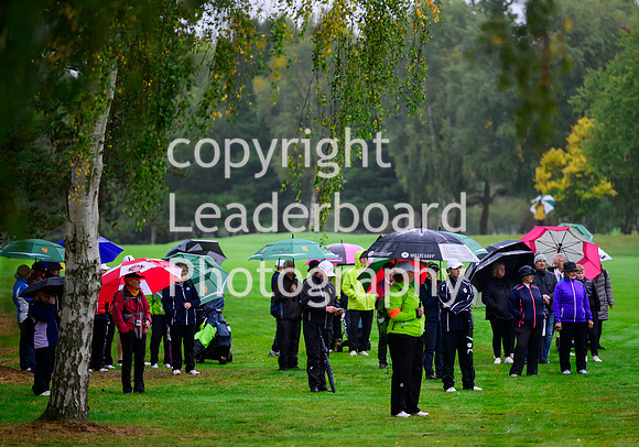 NZ9_0967