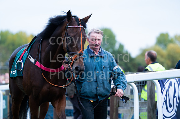 22IB_Fakenham_Races_October-15