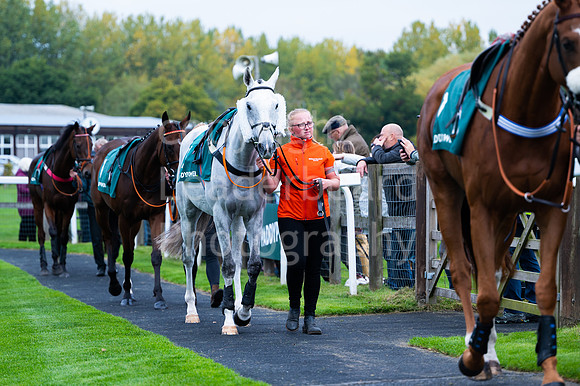 22IB_Fakenham_Races_October-14