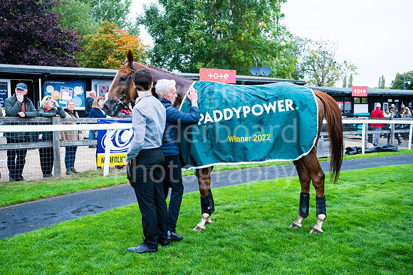 22IB_Fakenham_Races_October-41