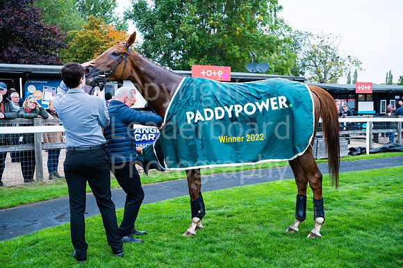 22IB_Fakenham_Races_October-42