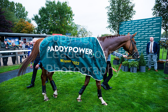 22IB_Fakenham_Races_October-44