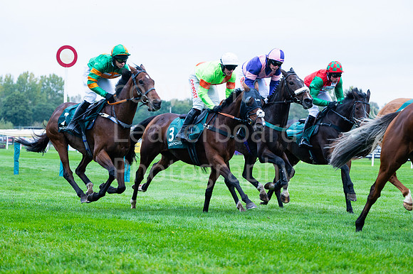 22IB_Fakenham_Races_October-75