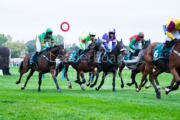 22IB_Fakenham_Races_October-74