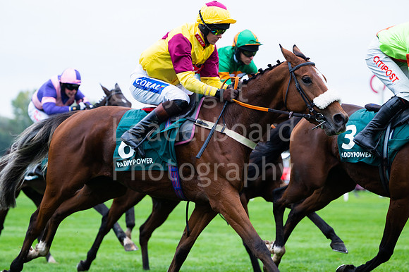 22IB_Fakenham_Races_October-85