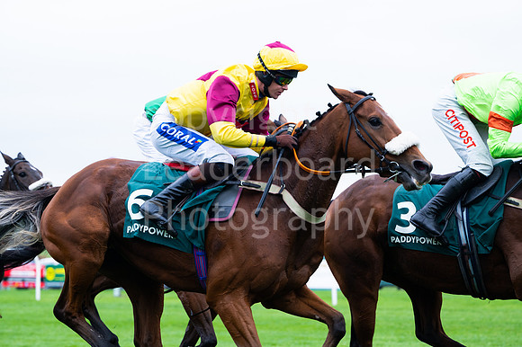22IB_Fakenham_Races_October-86