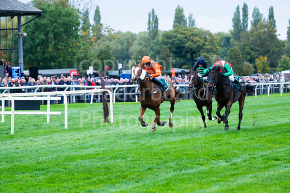 22IB_Fakenham_Races_October-96