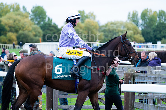 22IB_Fakenham_Races_October-123