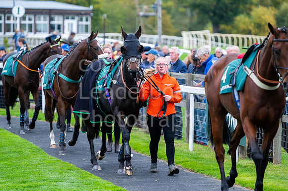 22IB_Fakenham_Races_October-135