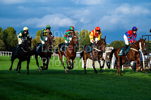 22IB_Fakenham_Races_October-201