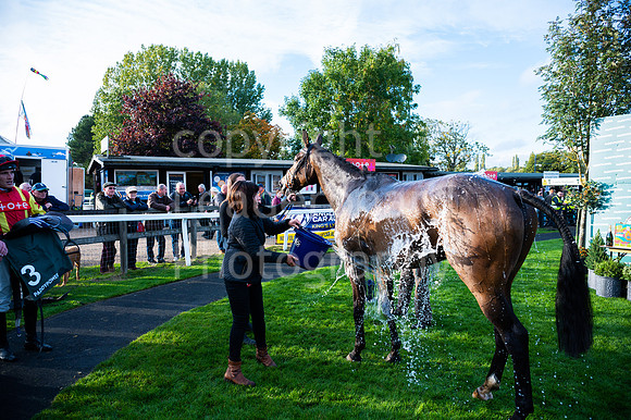 22IB_Fakenham_Races_October-231