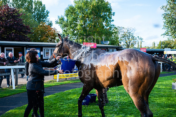 22IB_Fakenham_Races_October-232