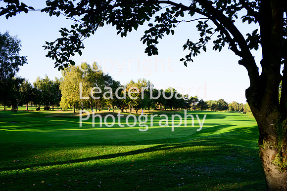 DSC_4157