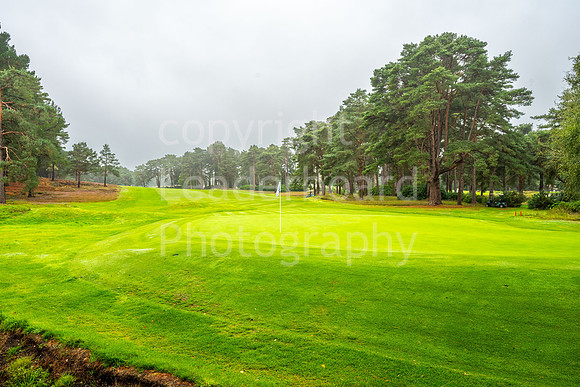 LBP_Senior_International_Ferndown-264