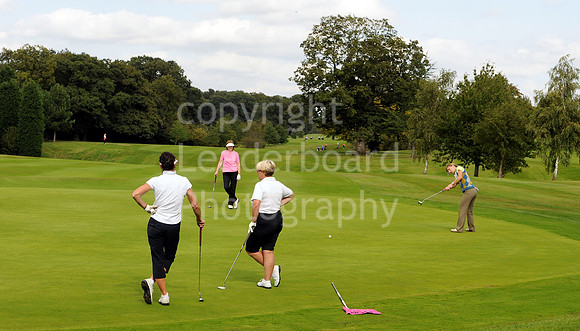 AJ_34_PING_PLATE_2009